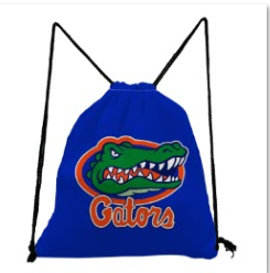 Florida Gators Backpack