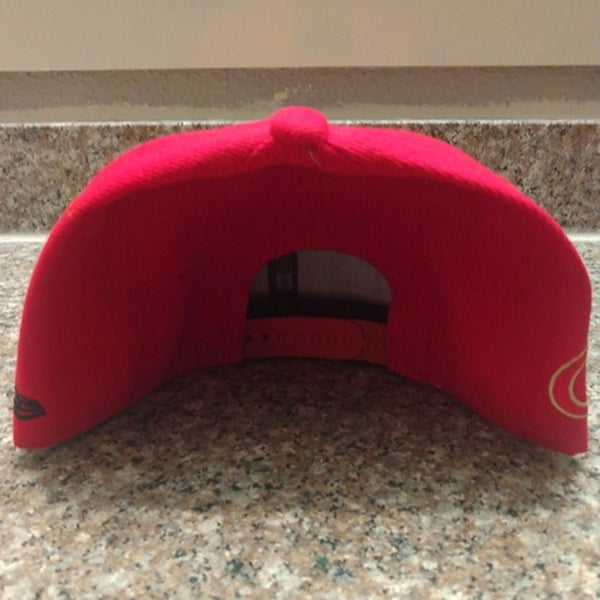 San Francisco 49ers Baseball Hat